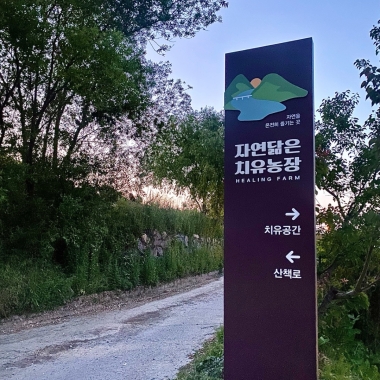 자연닮은치유농장_이미지_17